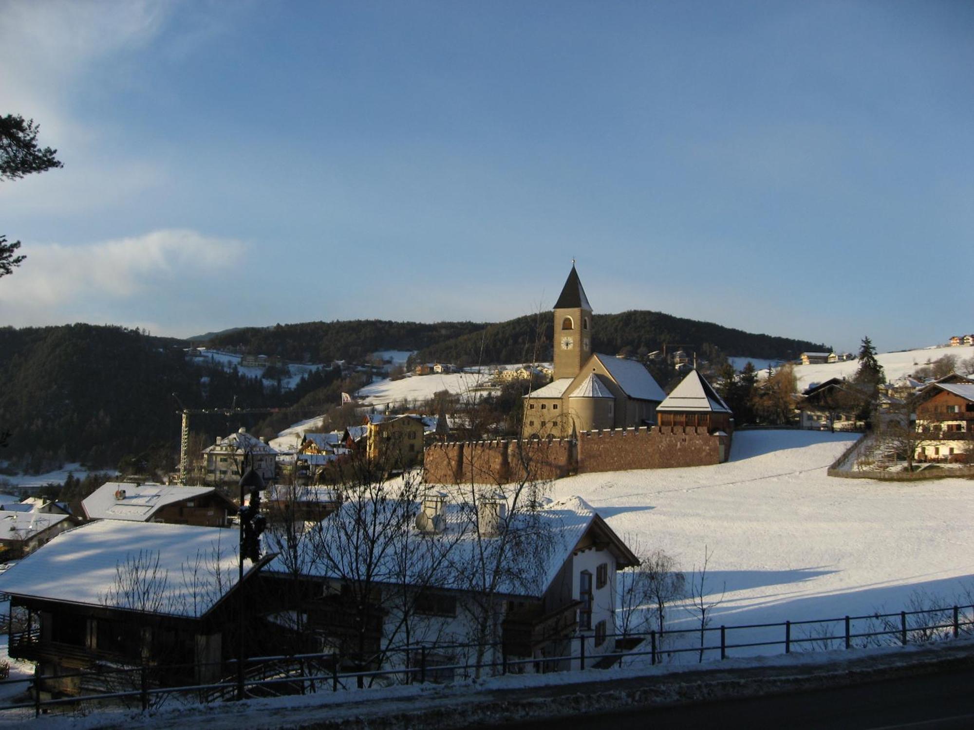 ホテル Garni Hauenstein シウジ エクステリア 写真